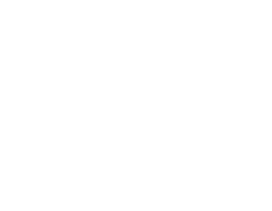 Insj